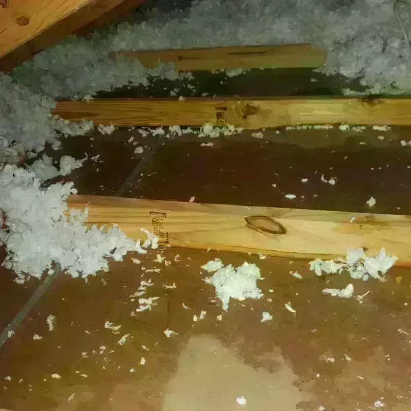 Attic Water Damage in Northlake, TX