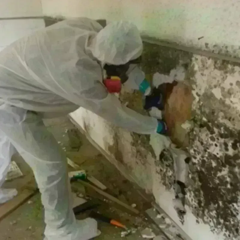 Mold Remediation and Removal in Northlake, TX