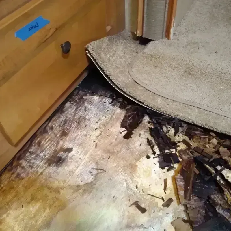 Wood Floor Water Damage in Northlake, TX